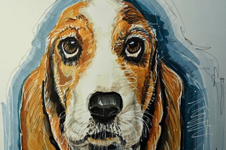 Basset hound | Lafayette