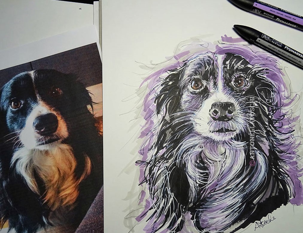 ANIMALI Ritratti | Disegni | SU RICHIESTA!